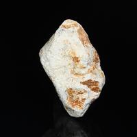 Anthoinite Psm Scheelite