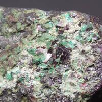 Népouite Psm Vaesite