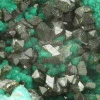 Olivenite With Cornwallite