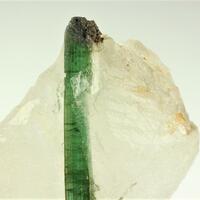 Elbaite In Quartz
