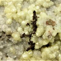 Mimetite With Native Copper