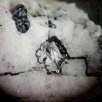Tapiolite-(Fe)