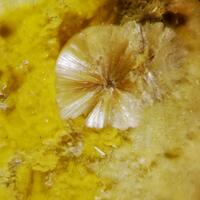 Shabaite-(Nd) & Françoisite-(Nd)