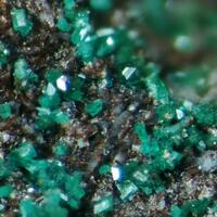 Paratacamite Paratacamite