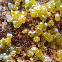 Campylite Mimetite & Cerussite On Limonite & Goethite