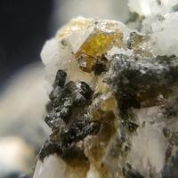 Titanite Albite Prehnite Ferro-actinolite & Calcite