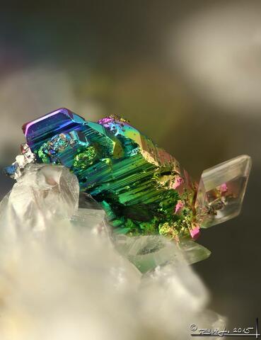 Mineral Images Only: Krennerite