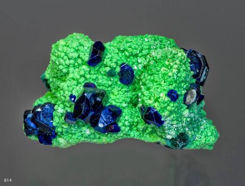 Mineral Images Only: Arsentsumebite & Azurite