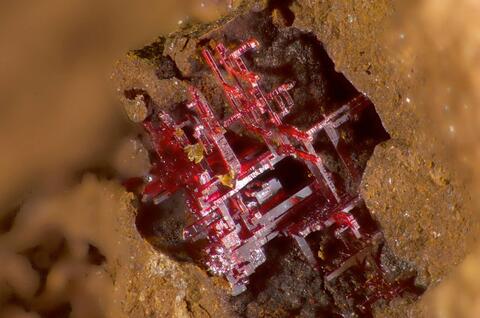 Mineral Images Only: Cuprite