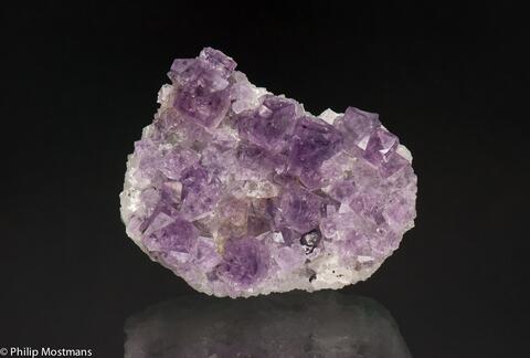 Mineral Images Only: Fluorite With Galena On Quartz