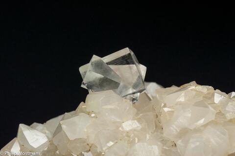 Mineral Images Only: Fluorite On Quartz