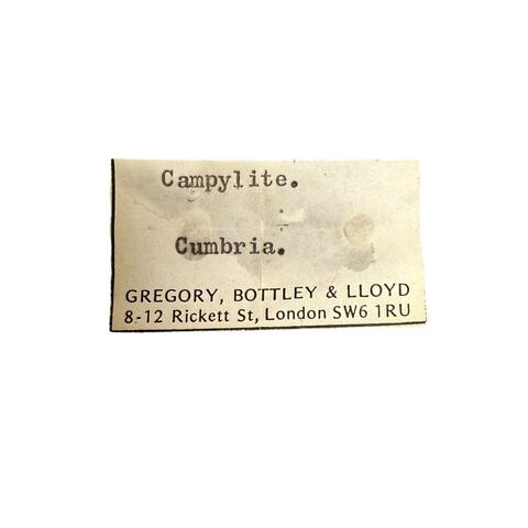 Label Images - only: Campylite