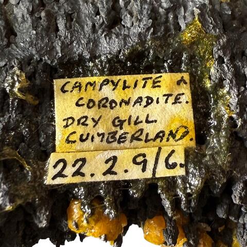 Label Images - only: Campylite & Coronadite