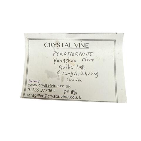 Label Images - only: Pyromorphite With Plumbogummite