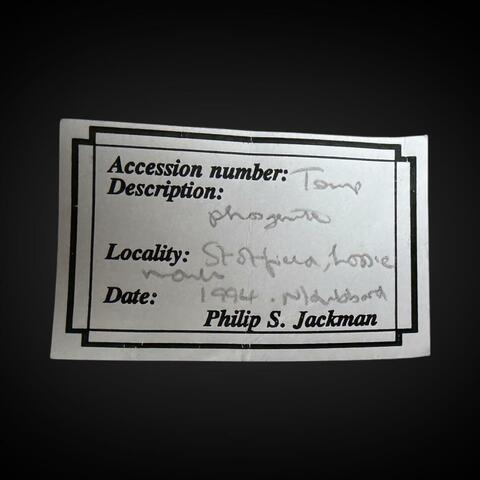 Label Images - only: Phosgenite & Galena