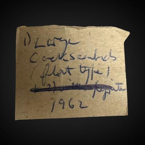 Label Images - only: Pyrite