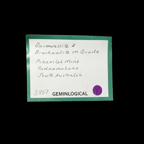 Label Images - only: Cornwallite & Brochantite On Quartz