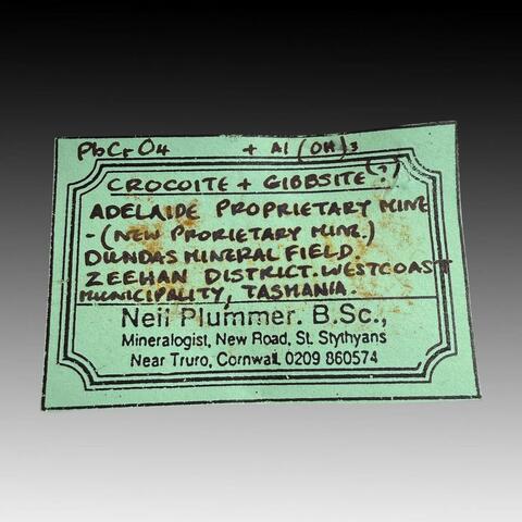 Label Images - only: Crocoite