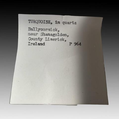 Label Images - only: Turquoise