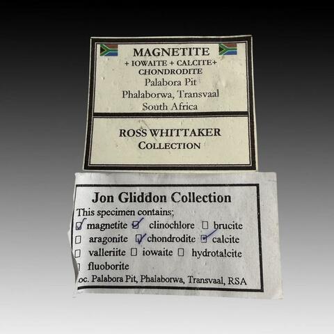 Label Images - only: Magnetite With Chondrodite Calcite & Clinochlore