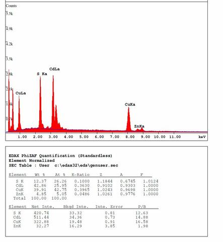 Analysis Report - only: Edwardsite