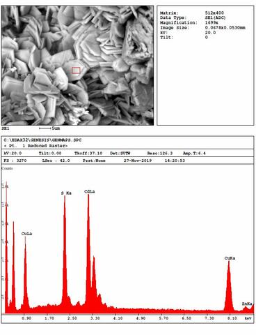 Analysis Report - only: Edwardsite