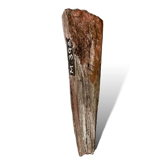 Hematite Var Pencil Ore