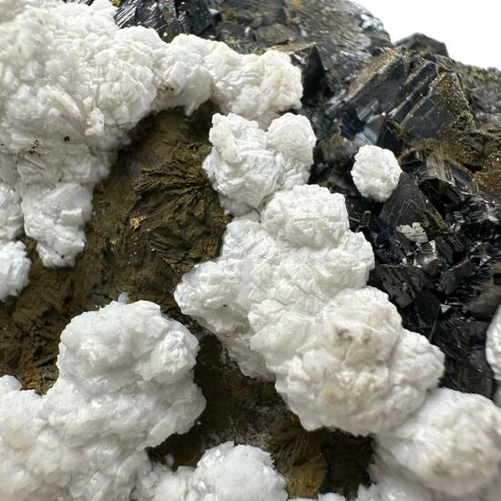 Sphalerite With Chalcopyrite & Dolomite