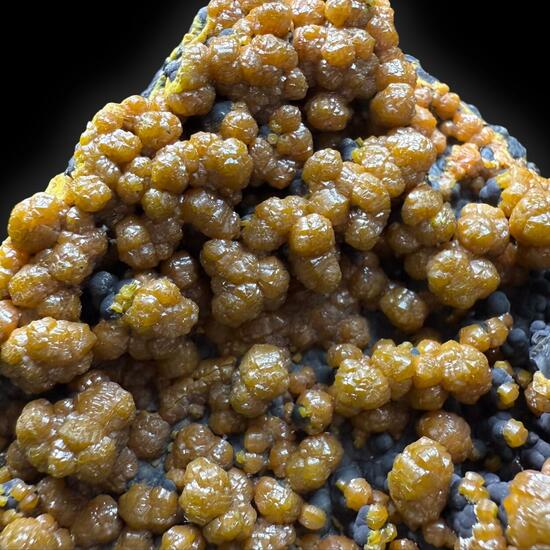 Campylite & Coronadite