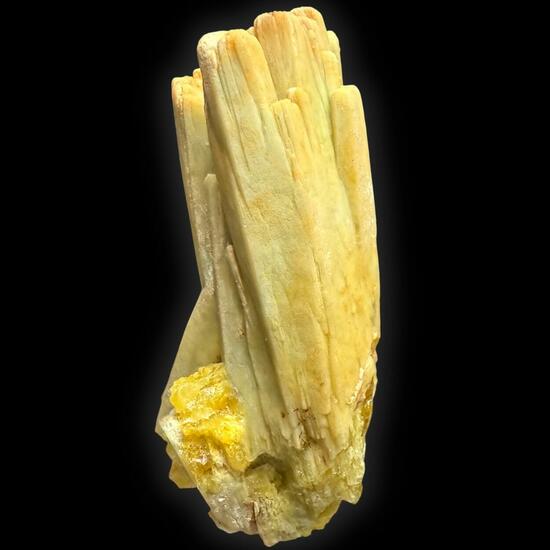 Pyromorphite With Plumbogummite