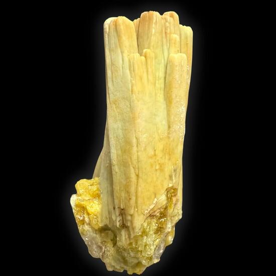 Pyromorphite With Plumbogummite