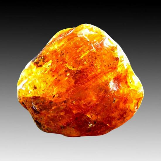 Amber Var Succinite