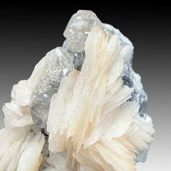 Baryte & Cerussite