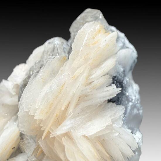 Baryte & Cerussite