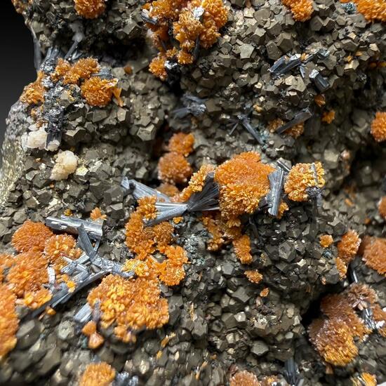 Hutchinsonite Pyrite & Orpiment