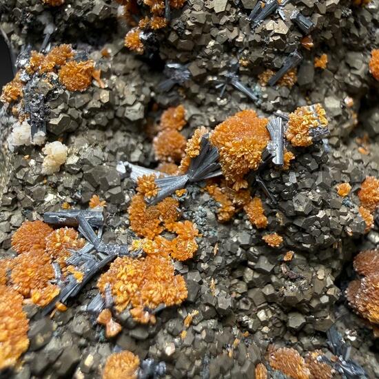 Hutchinsonite Pyrite & Orpiment