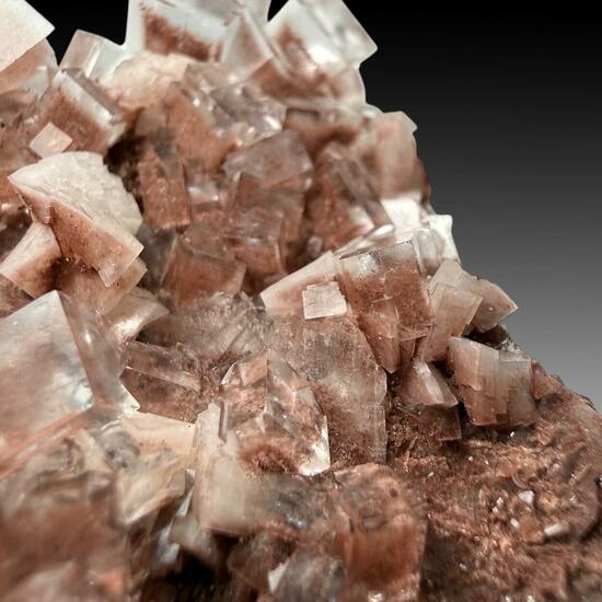 Fluorite With Hematite Inclusions