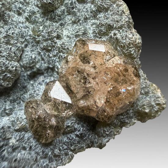 Grossular & Chamosite