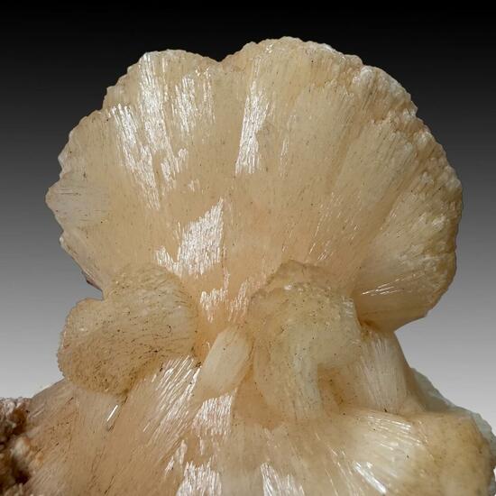 Stilbite