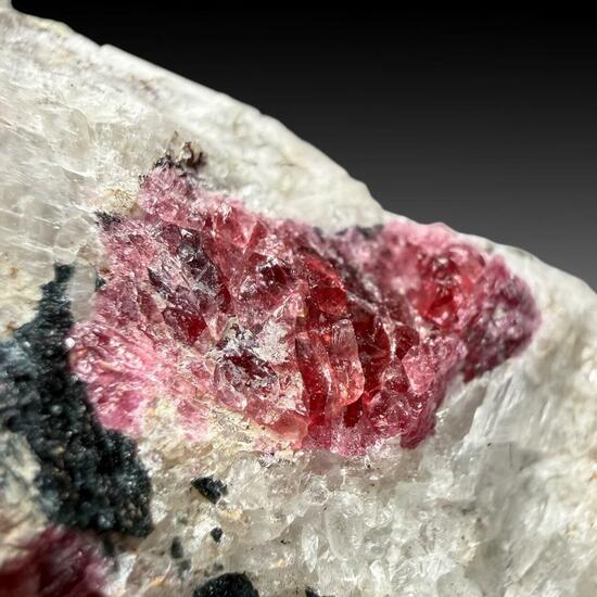 Eudialyte