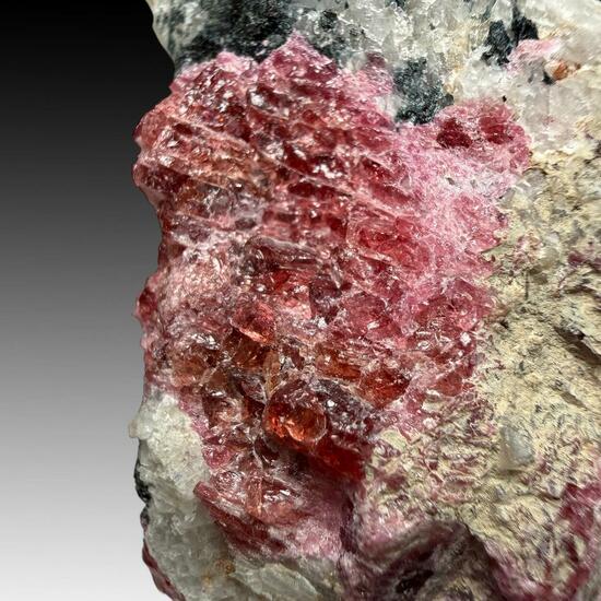Eudialyte