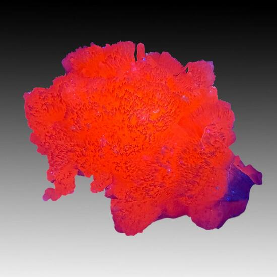 Manganoan Calcite With Kutnohorite