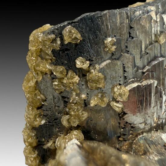 Arsenopyrite & Siderite