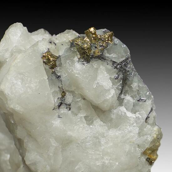 Cosalite & Pyrite