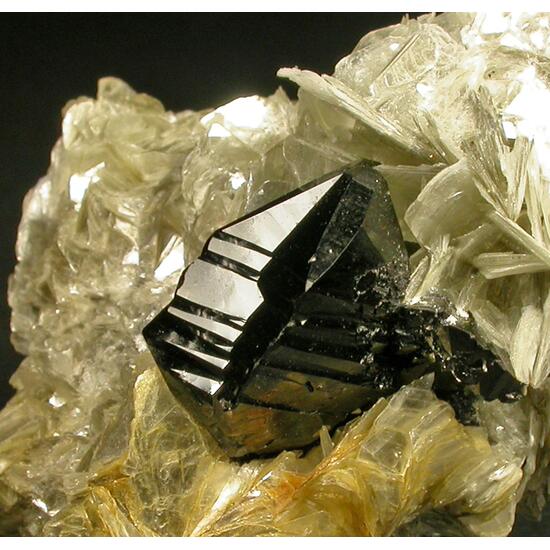 Cassiterite