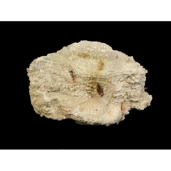 Fayalite & Cristobalite