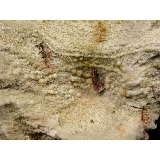 Fayalite & Cristobalite