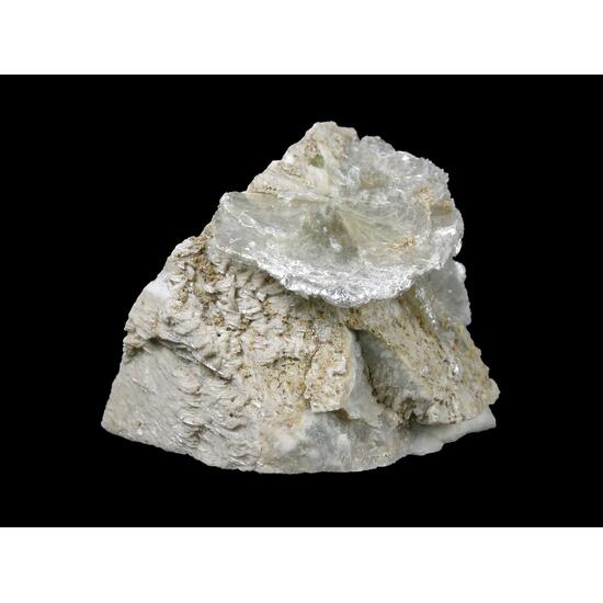Polylithionite