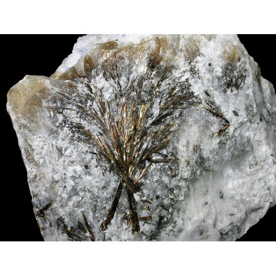 Astrophyllite