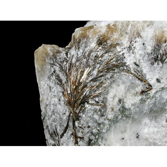 Astrophyllite